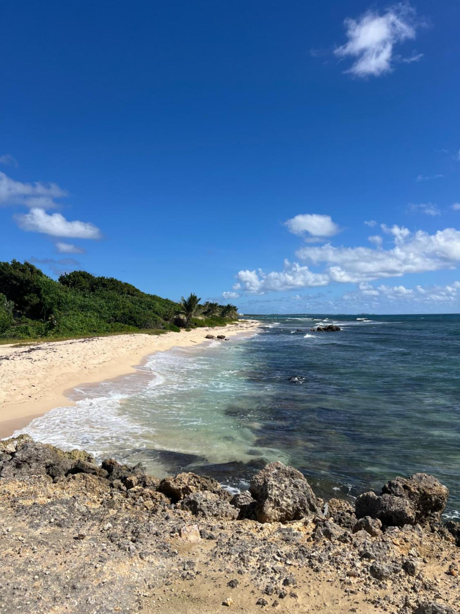 Studio Bord De Mer Avec Piscine - Le Manganao, Saint-Francois 外观 照片